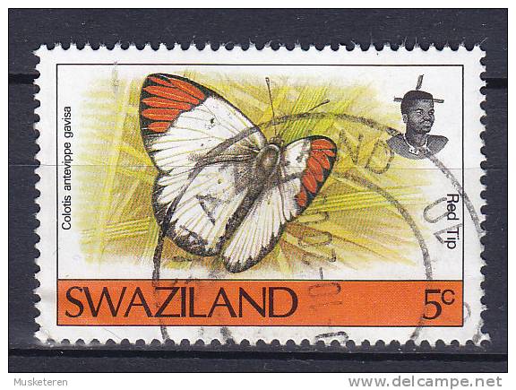 Swaziland 1992 Mi. 606    5 C Schmetterling Butterfly Papillion - Swaziland (1968-...)