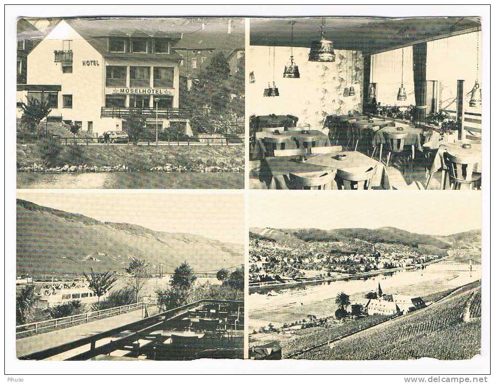 D2140:   BERNKASTEL - WEHLEN : Restaurant Pension Mosel Hotel( Multiview) - Bernkastel-Kues