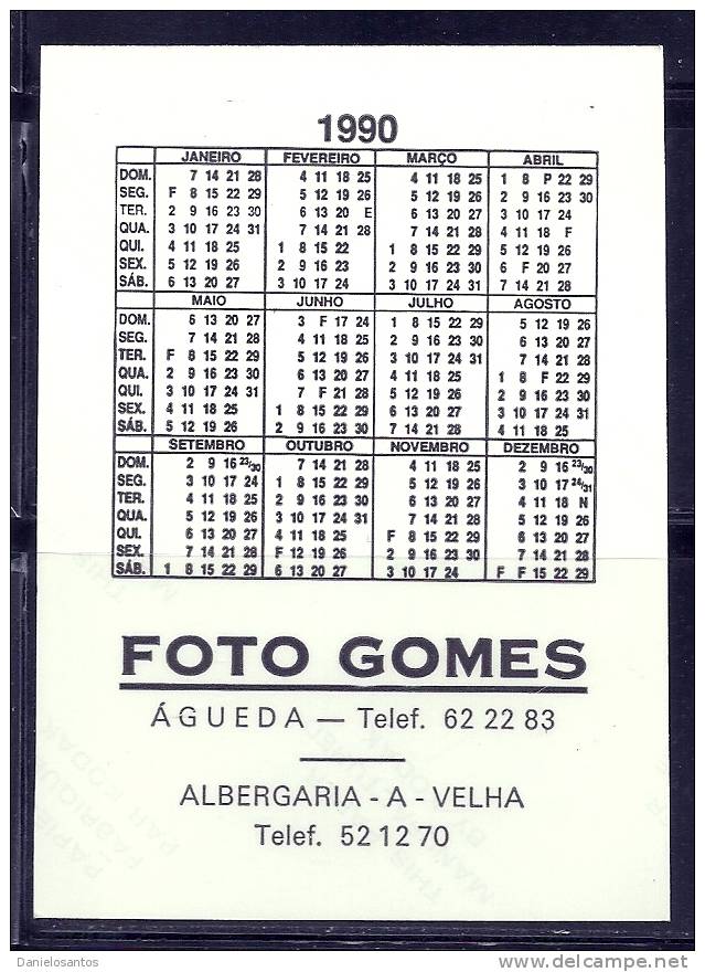 1990 Pocket Poche Bolsillo Bolso Calendar Calandrier Calendario Animais Domesticos Domestic Animmals Porco Pig - Big : 1981-90