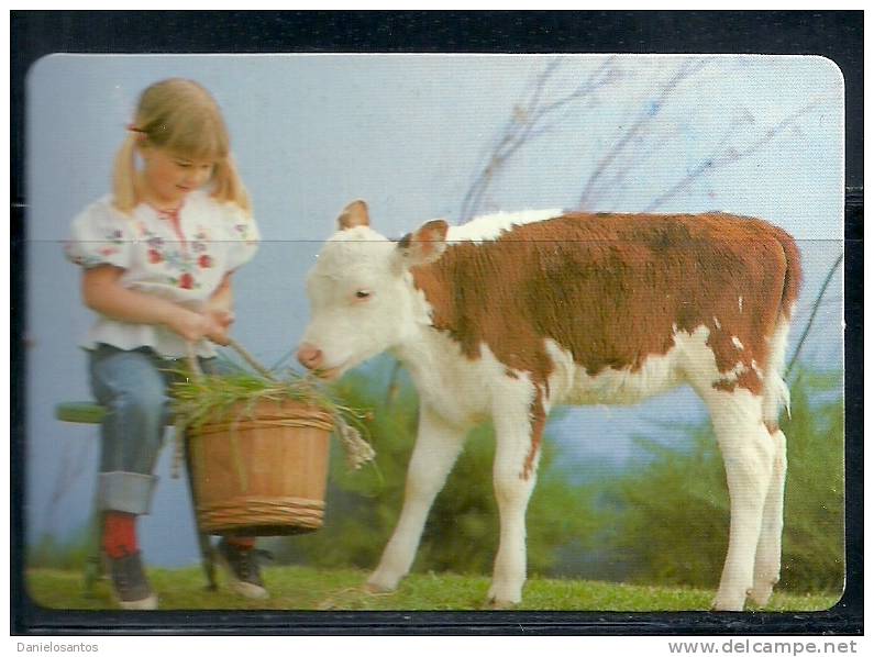 1991 Pocket Poche Bolsillo Bolso Calendar Calandrier Calendario Animais Domesticos Domestic Animmals  Gado Cow - Tamaño Grande : 1991-00