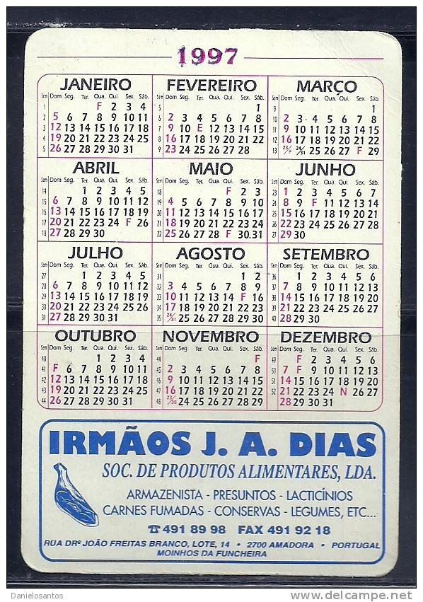 1997 Pocket Poche Bolsillo Bolso Calendar Calandrier Calendario Animais Domesticos Domestic Animmals  Gado Cow - Tamaño Grande : 1991-00