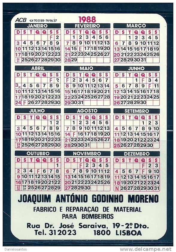 1988 Pocket Poche Bolsillo Bolso Calendar Calandrier Calendario Animais Domesticos Domestic Animmals  Pintos - Formato Grande : 1981-90