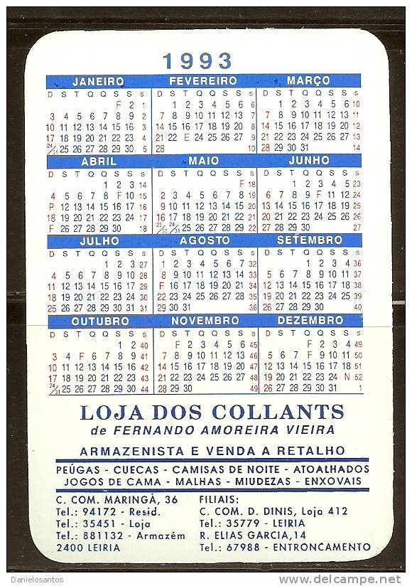 1993 Pocket Poche Bolsillo Bolso Calendar Calandrier Calendario Animais Domesticos Domestic Animmals  Pintos E Coelho - Tamaño Grande : 1991-00