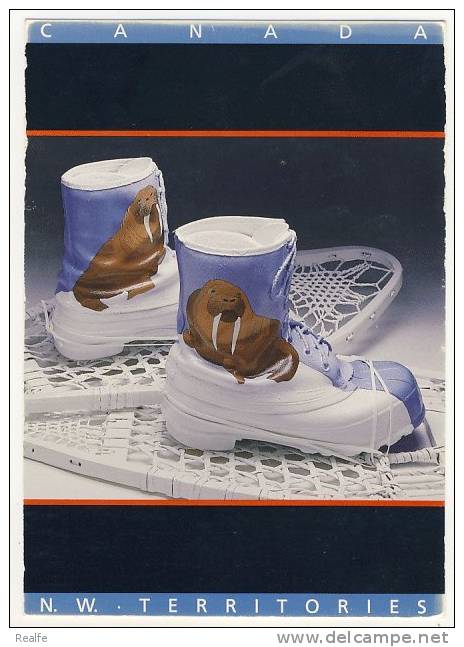 Canada´ S National  Shoe Set  Northwest Territories - Other & Unclassified