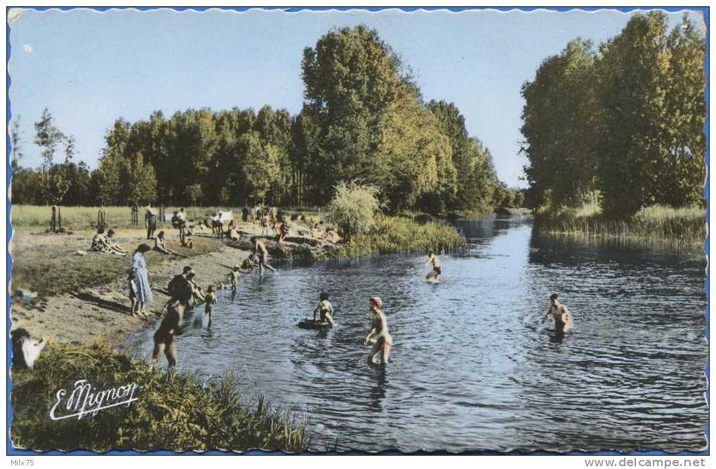 45 - DORDIVES - La Baignade Sur Le Loing - Dordives