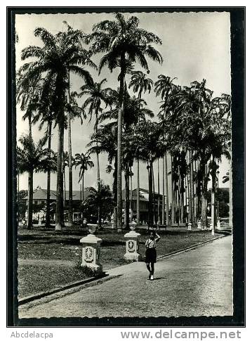 Cayenne - Place Des Palmistes - Cayenne