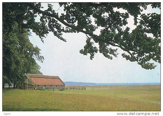 Ede  Schaapskooi - Ede