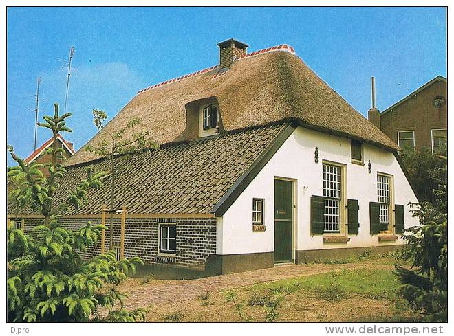 Ede    Boerderij De Driehoek - Ede