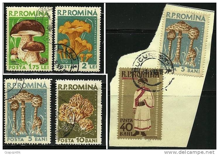 ● ROMANIA 1958 - FUNGHI - N. 1580 . .  Usati - Cat. ? € - Lotto N. 992 /94 /96 - Oblitérés