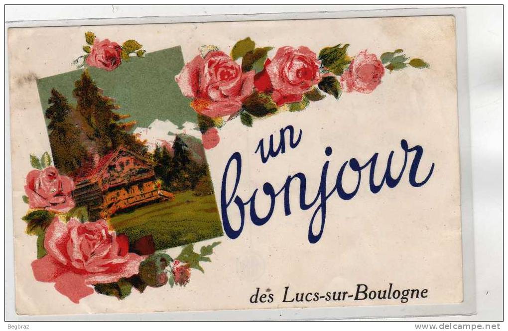 LES LUCS SUR BOULOGNE        UN BONJOUR DE     FANTAISIE - Les Lucs Sur Boulogne