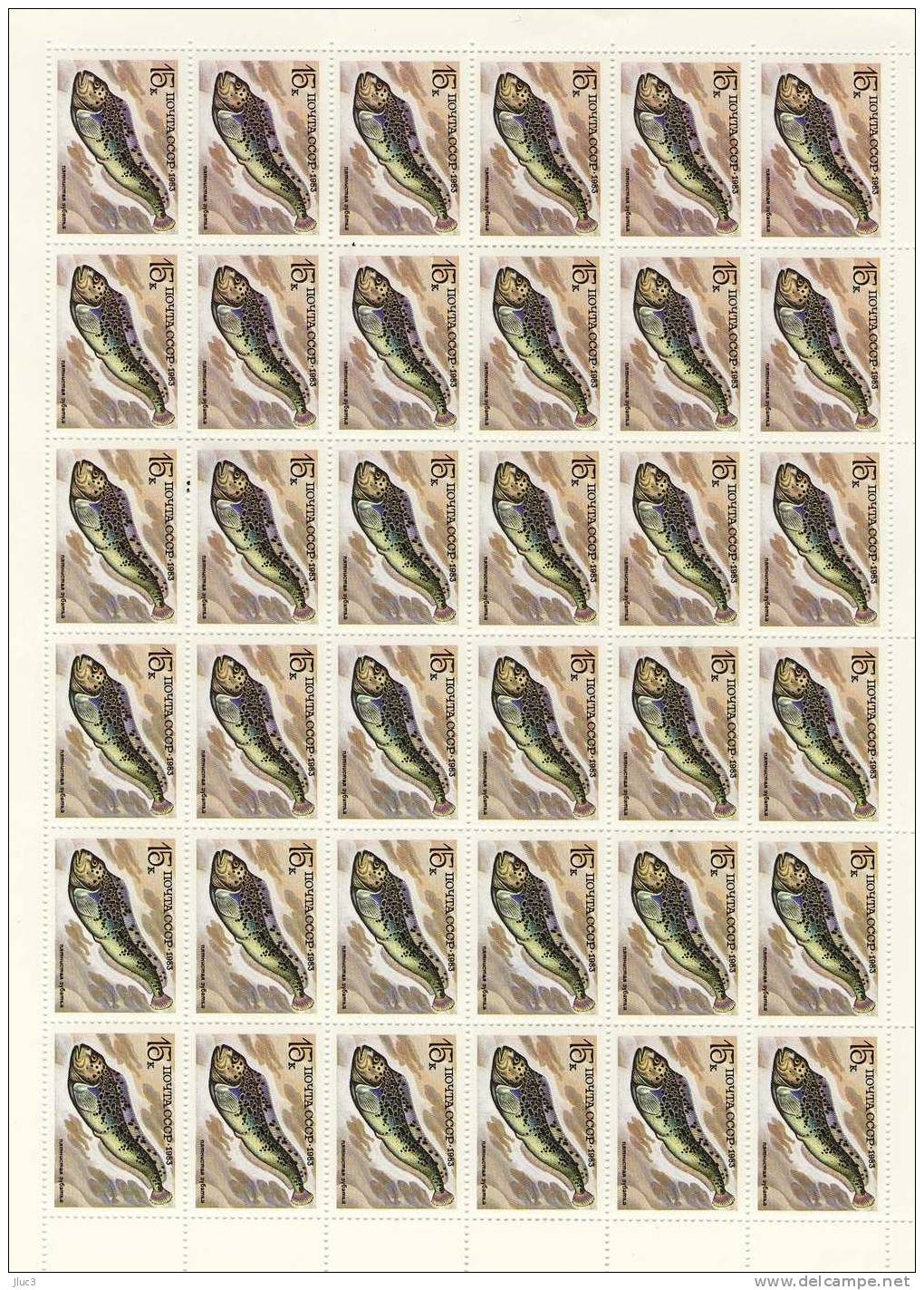 FC5019 - RARE - URSS 1983 - LA  Splendide  FEUILLE  Entière  Neuve**  N° 5019 (YT)  --  FAUNE  : Poissons - Belle Valeur - Full Sheets