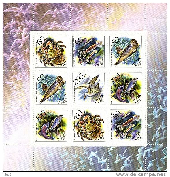 PF6008-12 - RUSSIE 1993 - Feuille Neuve** - Série Complète 9 Timbres - N°6008 à 12 (YT) - FAUNE Océan Pacifique - Neufs