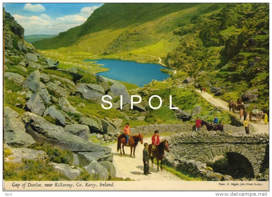 Gap Of Dunloe, Near Killarney, Co Kerry Ireland - Animée , Chevaux - Kerry