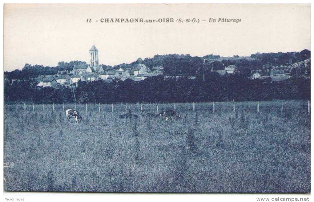 CHAMPAGNE-sur-OISE - Un Paturâge - Champagne Sur Oise