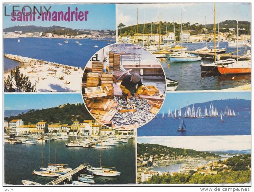CPM De SAINT MANDRIER (06) - Souvenir - Multivues - Saint-Mandrier-sur-Mer