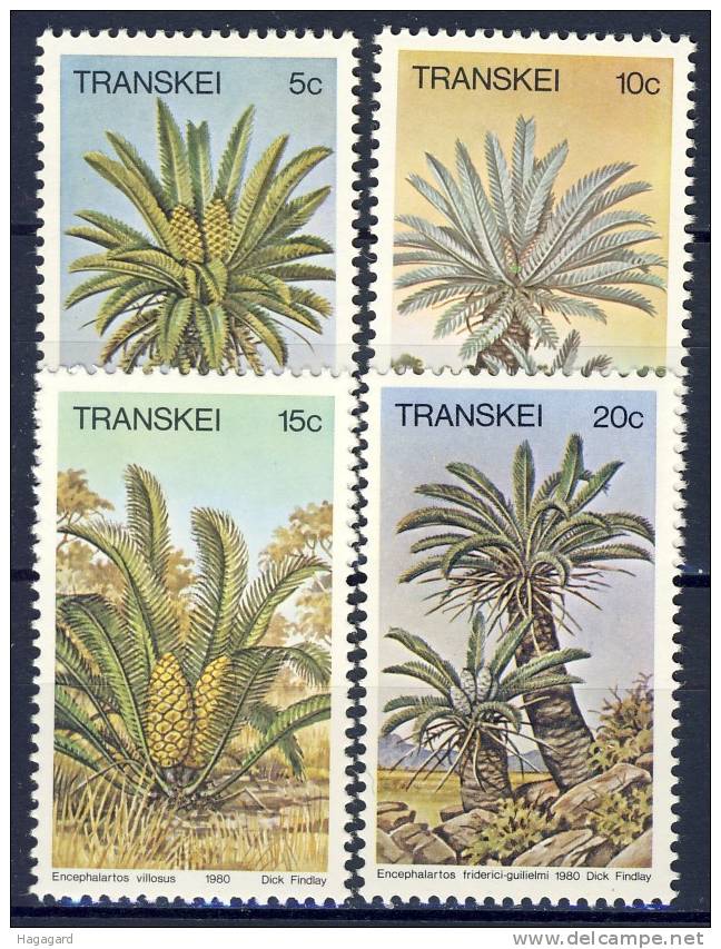 #Transkei 1980. Cycads. Michel 71-74. MNH(**) - Transkei