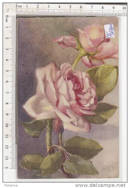 PO5698A# FIORI - FLOWERS - ROSE - Illustratore Chiostri  VG 1950 - Chiostri, Carlo