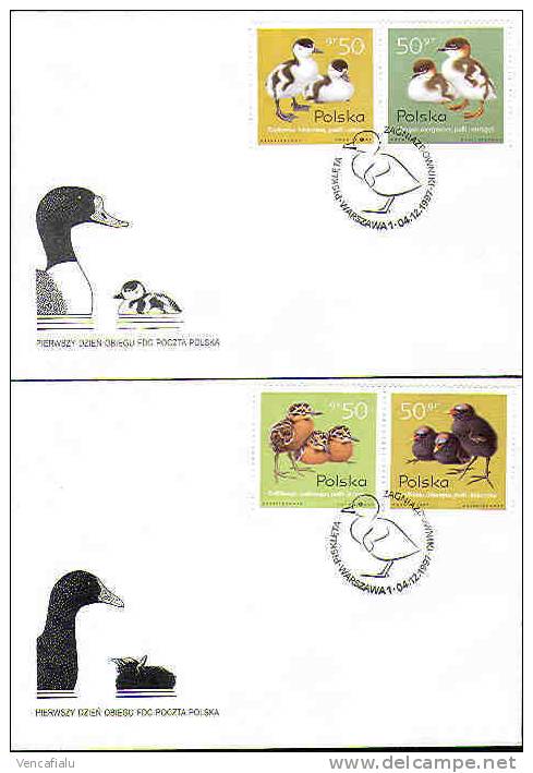 Poland 1997 - Young Ducks, Set Of 2 FDC´s - Anatre