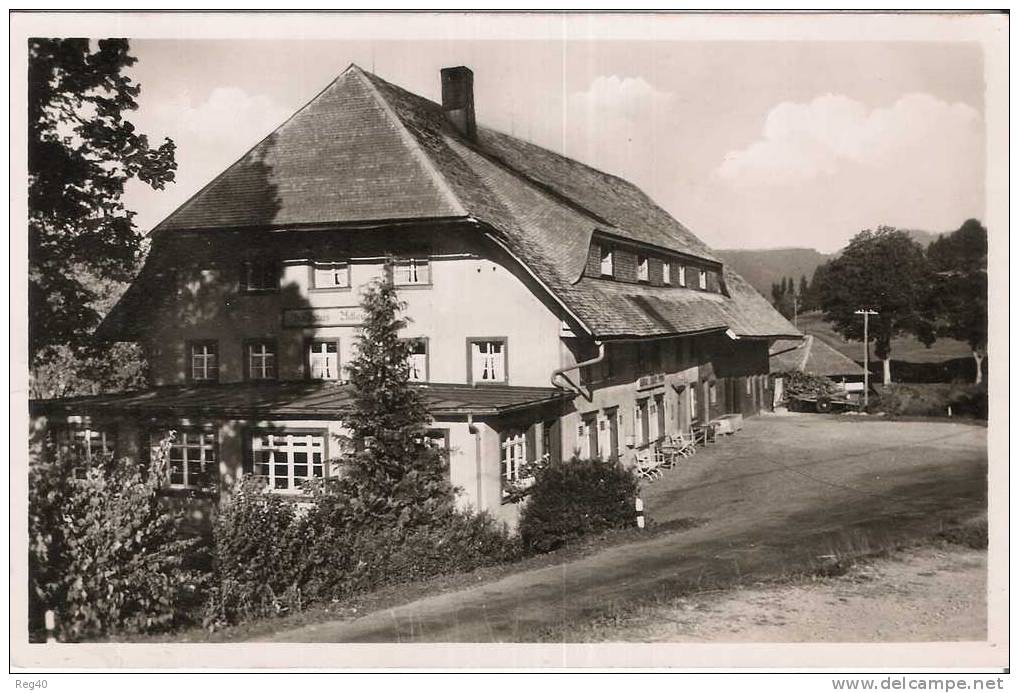 ALLEMAGNE -  HOHENLUFTKURORT  BERNAU  - ECHT FOTO Franckh ANSICHTSKARTEN - Bernau