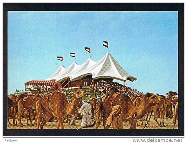 RB 683 -  Postcard - Dubai Camel Race United Arab Emirates - Animal Theme - Ver. Arab. Emirate