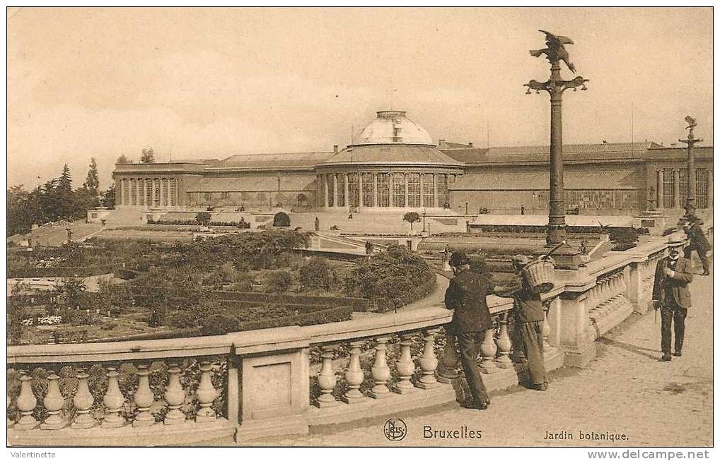 BRUXELLES - JARDIN BOTANIQUE - Bossen, Parken, Tuinen