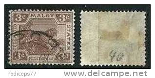Malaiischer Staatenbund  1906/22  Tiger  3 C Braun  (Wz Multi CA)  Mi-Nr.40  Gestempelt / Used - Federated Malay States