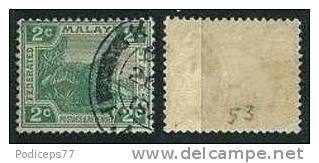 Malaiischer Staatenbund  1922/34  Tiger  2 C Grün  (Wz Multi-script CA)  Mi-Nr.53  Gestempelt / Used - Federated Malay States