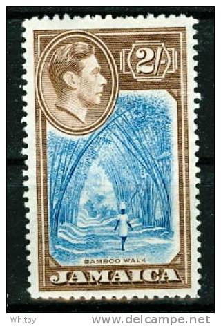 Jamacia 1938  2s Bamboo Walk Issue #126 MNH - Jamaica (...-1961)