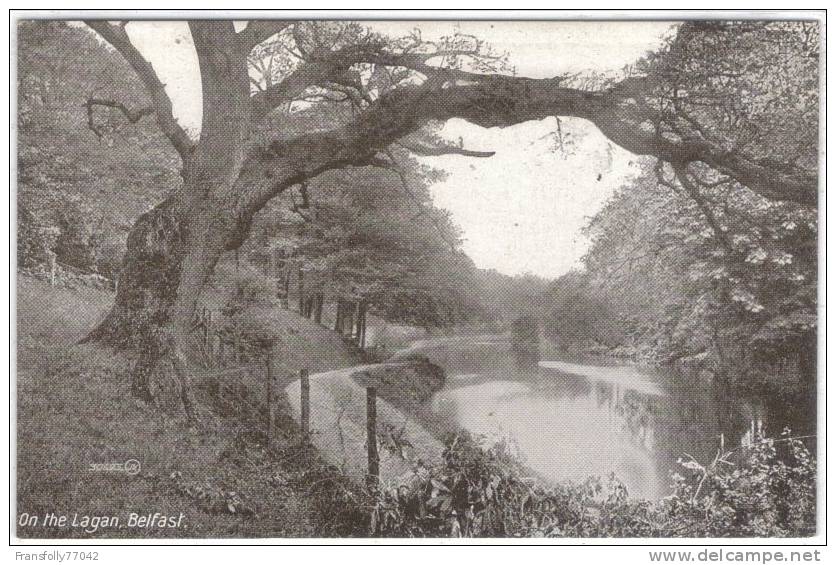 IRELAND - BELFAST - ON THE LAGAN RIVER - SERENE WOODLAND SPOT - Antrim