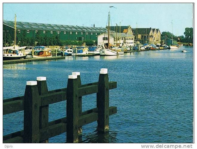 Den Helder   Jachthaven   Boten / Bateau - Den Helder