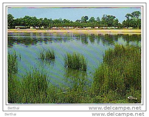 CPM 22 LOUDEAC - Vue Sur L Etang Et Le Camping Des Ponts Es Bigots - Loudéac