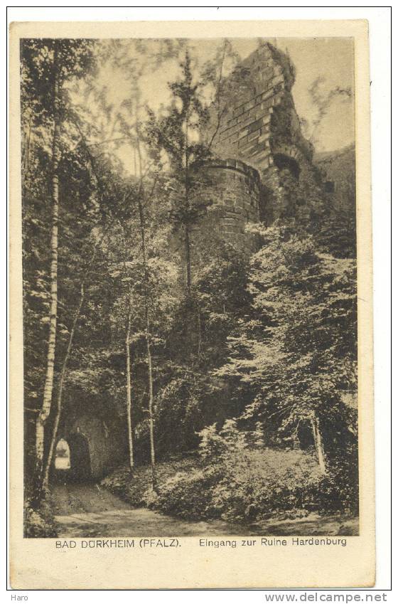 BAD DÜRKHEIM - Eingang Zur Ruine Hardenburg (282)cor - Bad Dürkheim