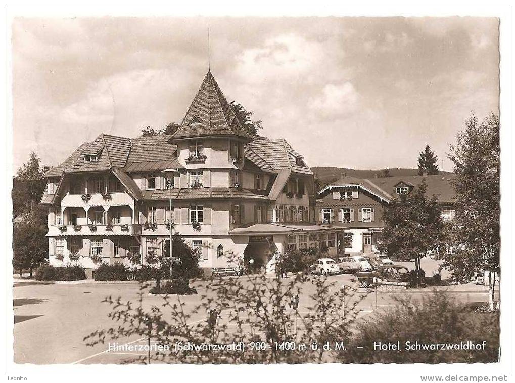 Hotel Schwarzwaldhof Hinterzarten Schwarzwald Echt Foto 1965 - Hinterzarten