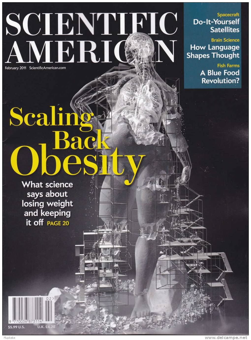 Scientific American 02 February 2011 Scaling Back Obesity - Scienze