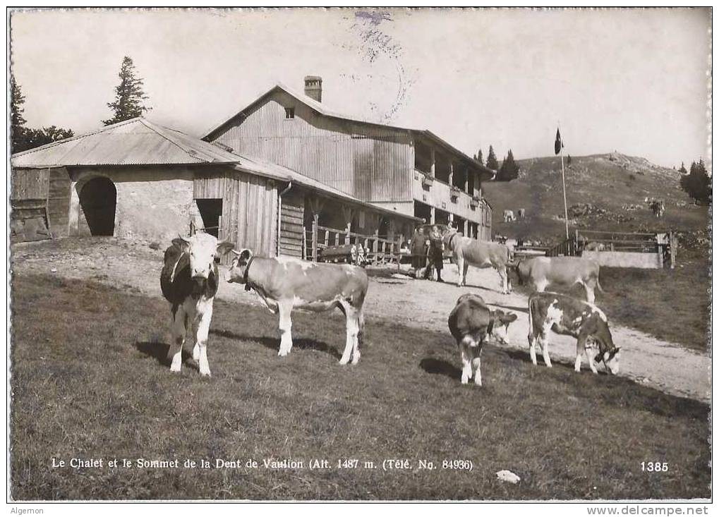 2139 - Le Chalet De La Dent De Vaulion - Vaulion