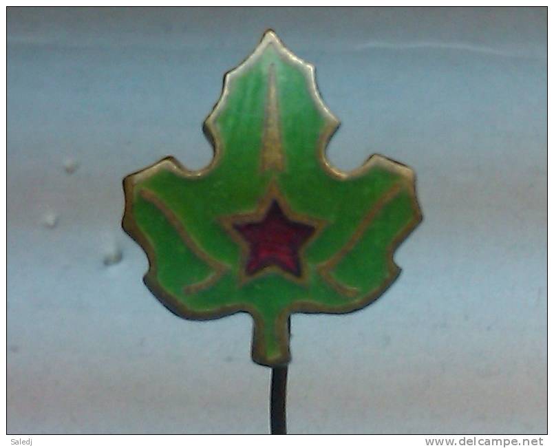 Rare Pin SCOUTING FEDERATION Of YUGOSLAVIA Scouts Pfadfinder Scout Logo - Pfadfinder-Bewegung