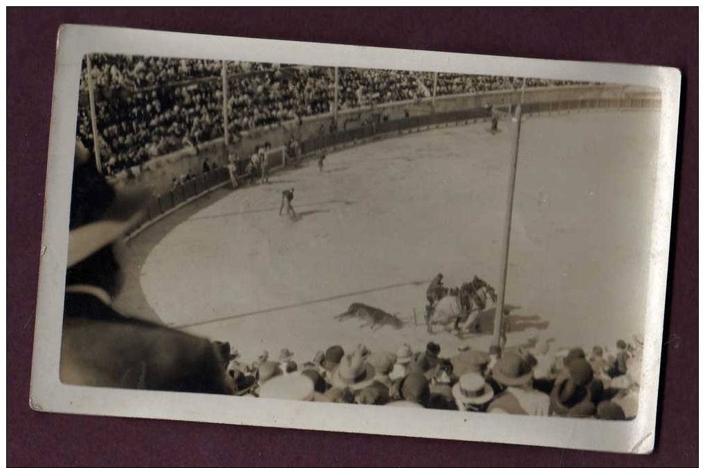 Belle Photo NIMES 1931 - ARENES - CORRIDA - Lieux