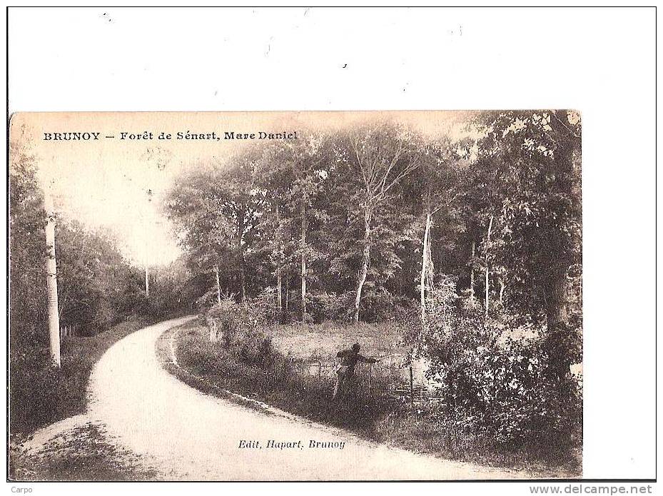BRUNOY. - Forêt De Sénart, Mare Daniel. - Sénart