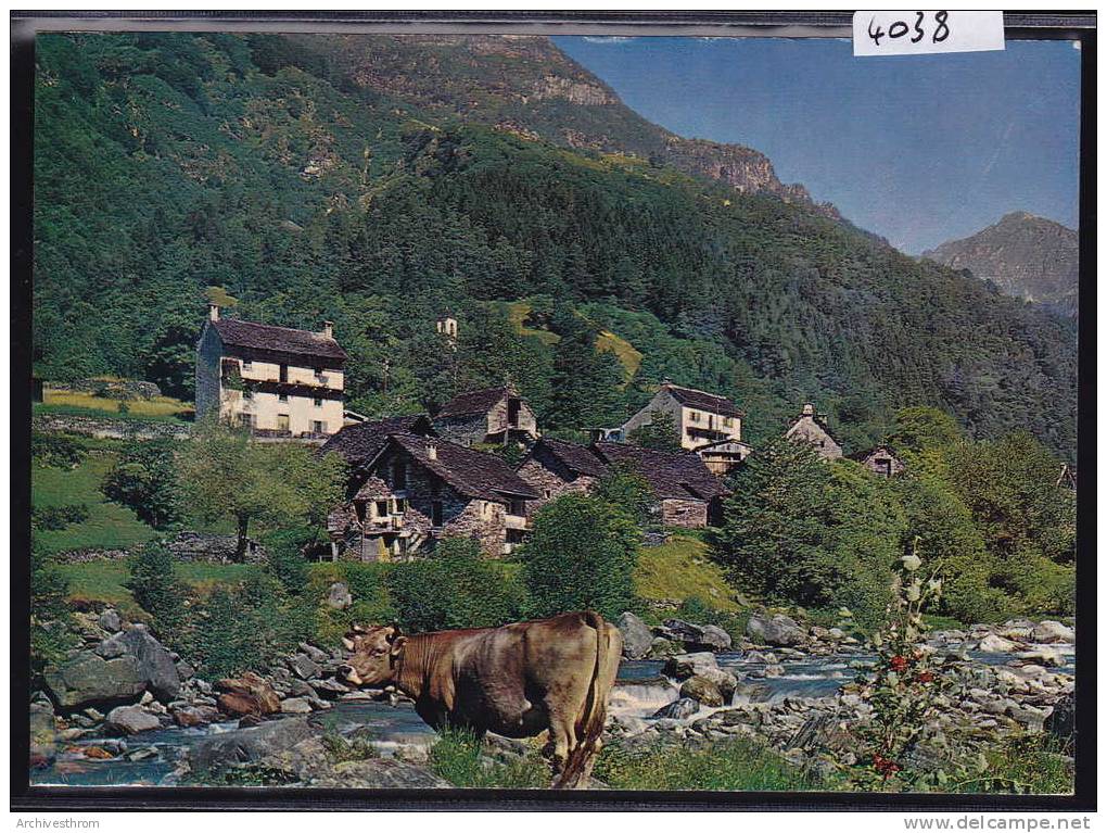 Gerra ( Valle Verzasca ) ; Formato Superiore (4038) - Cugnasco-Gerra