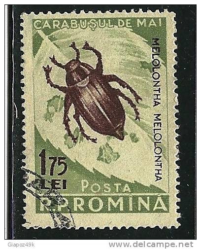 ● ROMANIA 1956 - INSETTI - N. 1463 Usato - Cat. ? € - Lotto N. 1063 - Oblitérés