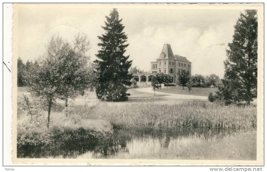 Melreux -Domaine Du Vieux Pré- Château Reine Pédauque -1962 ( Voir Verso ) - Hotton