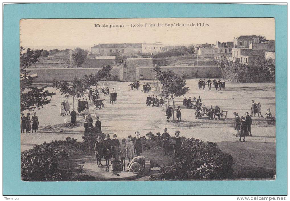 MOSTAGANEM  -  Ecole Primaire Supérieure De Filles -    BELLE CARTE ANIMEE  - - Mostaganem