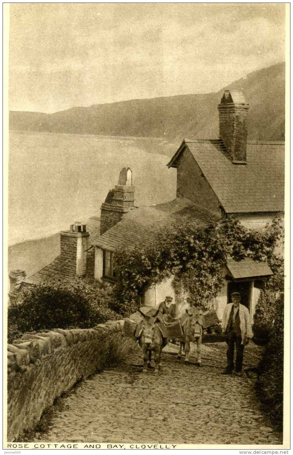 ROYAUME-UNI - CLOVELLY - CPA - Clovelly, Rose Cottage And Bay - THE "MAJESTIC" SERIES - Mulet, Ane - Clovelly