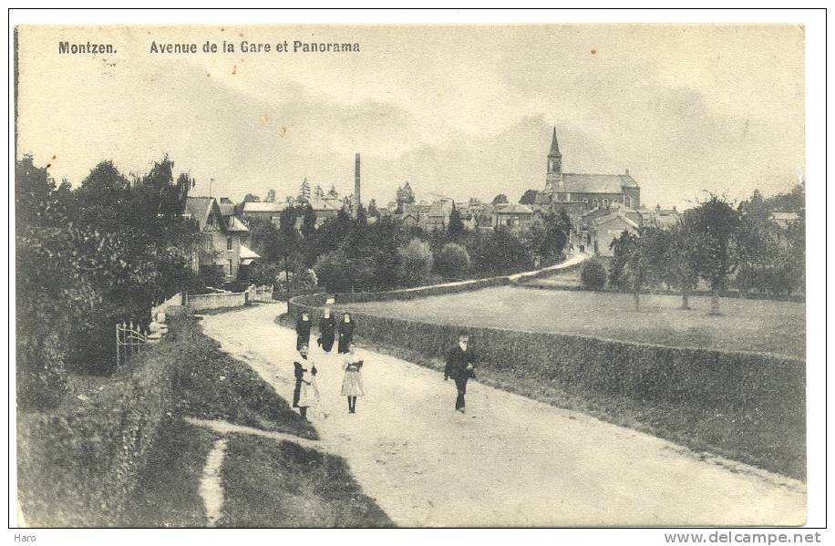 MONTZEN - Avenue De La Gare Et Panorama  (712)b56 - Kelmis