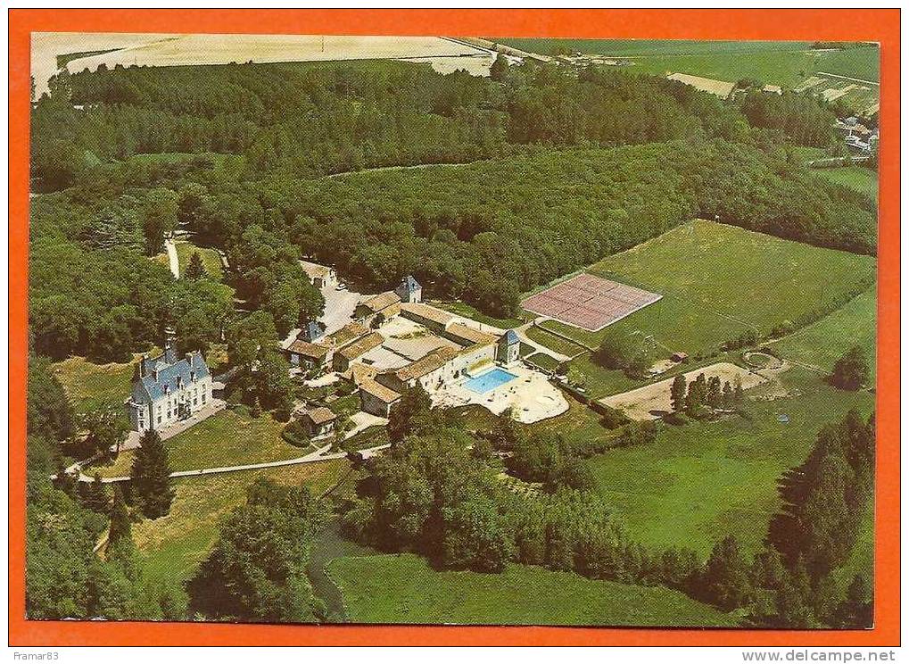VOUILLE   -  Chateau De Perigny  ( Vue Aerienne ) - Vouille