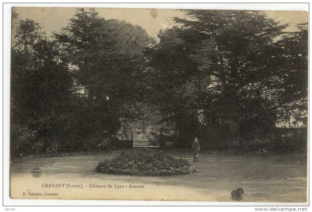 CRAVANT. -  Château De Laye - Avenue - Andere & Zonder Classificatie