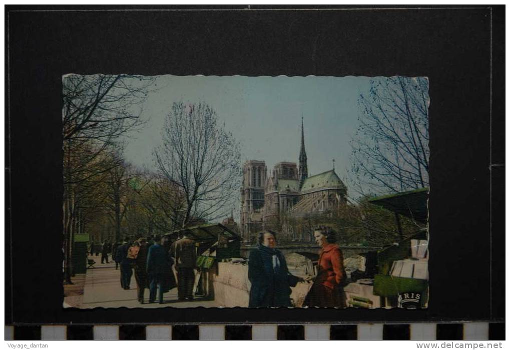 PARIS LES BOUQUINISTES  NOTRE DAME - Notre Dame De Paris