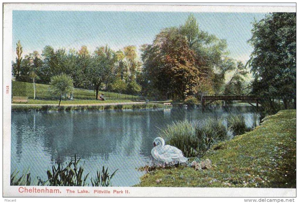 13755    Regno  Unito,    Cheltenham,  The Lake,  Pittville Park II.,  NV - Cheltenham