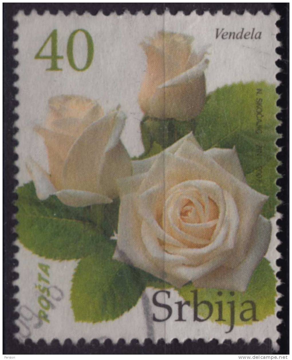 2007 Serbia - White Rose - Rozen