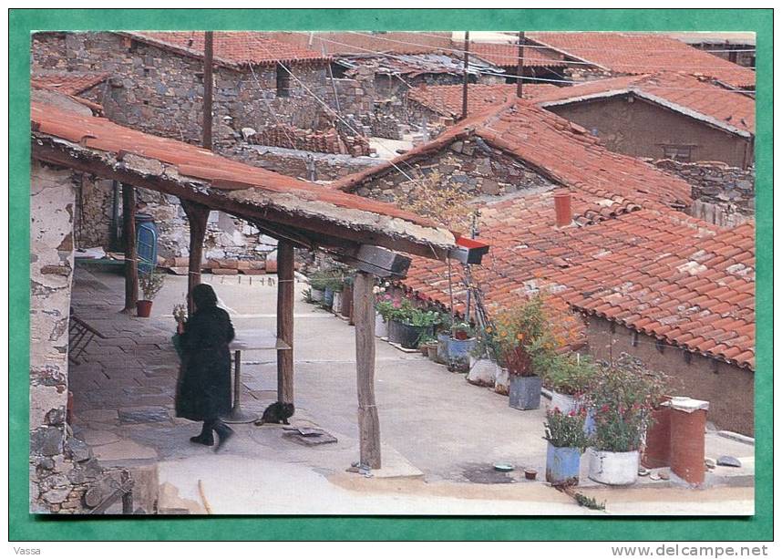 PHIKARDHOU Village. &#934;&#965;&#954;&#940;p&#948;&#959;&#965;.CHYPRE . CYPRUS - Chypre